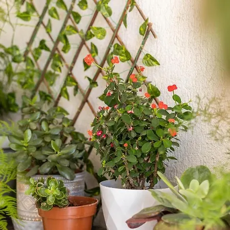 Apartment Seaview Harmony Larnaka