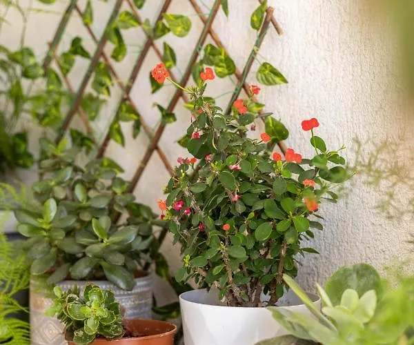 Apartmán Seaview Harmony Larnaca